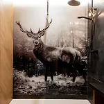 Ku Dolinie 4* Kościelisko