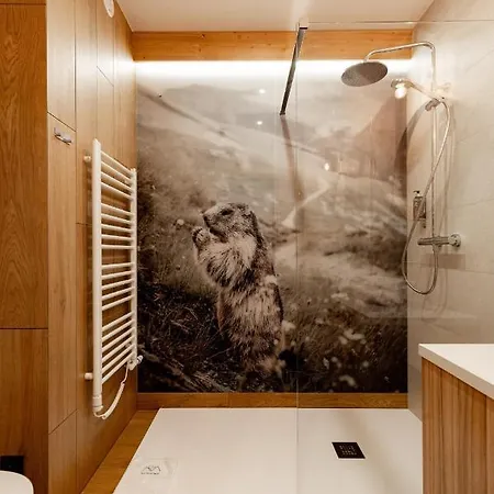 Ku Dolinie 4* Kościelisko