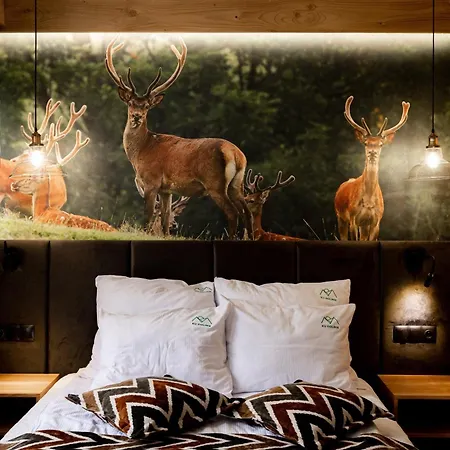 Ku Dolinie Apartmanhotel Kościelisko