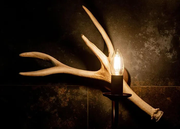 Ku Dolinie 4* Kościelisko